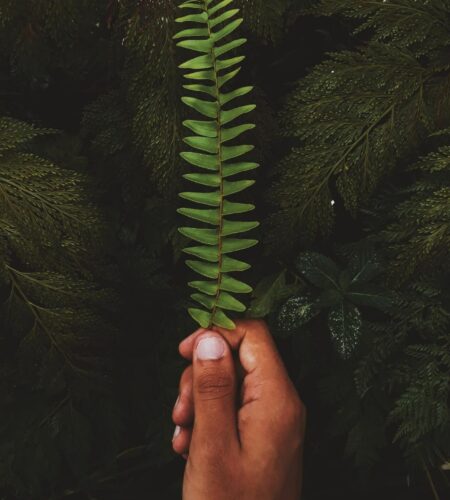 Hand hält ein Blatt